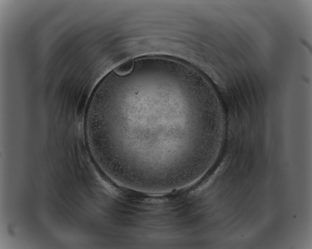 X0000093441513200710121322
