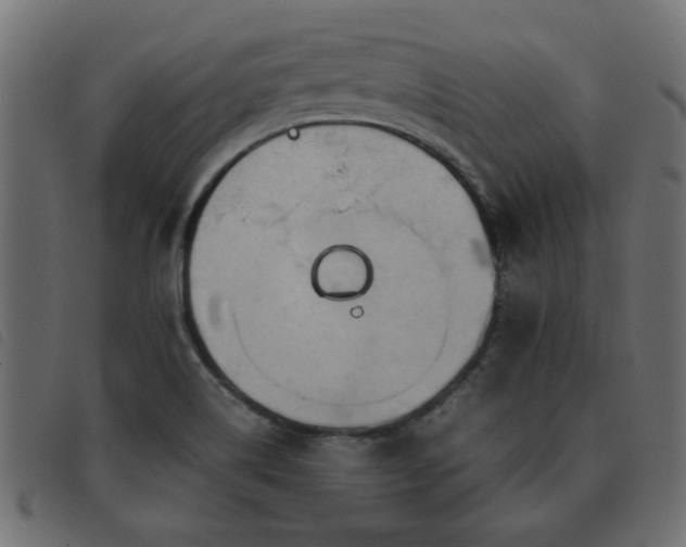 X0000093441514200710121322