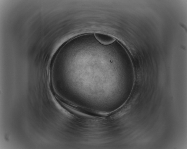 X0000093441515200710121322