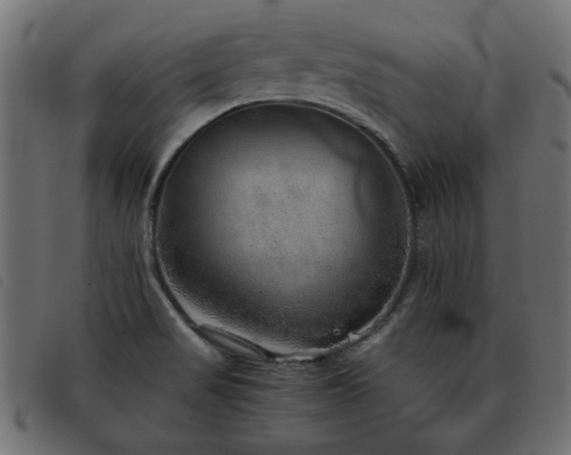 X0000093441517200710121322