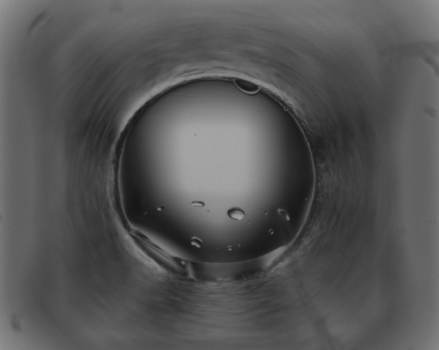 X0000093441518200710121322