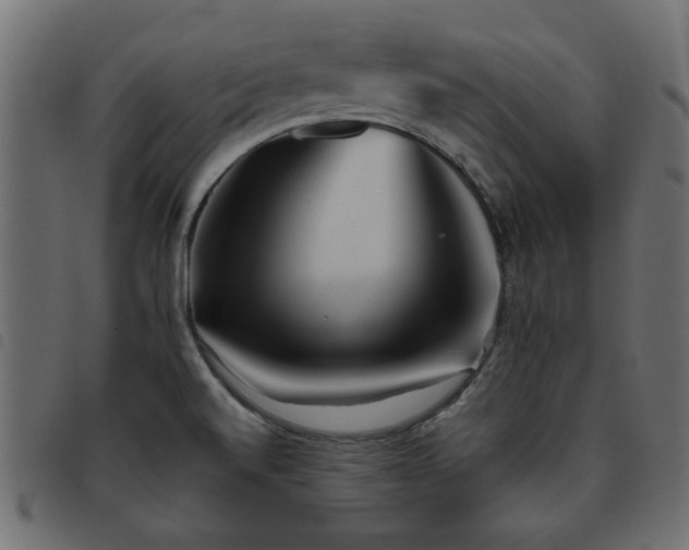 X0000093441520200710121322