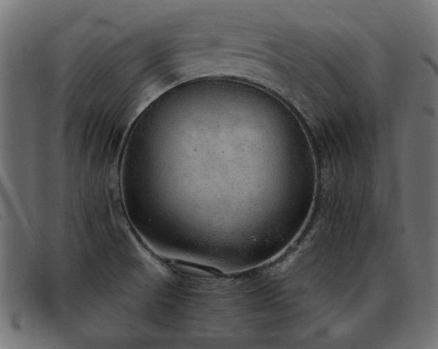 X0000093441521200710121322