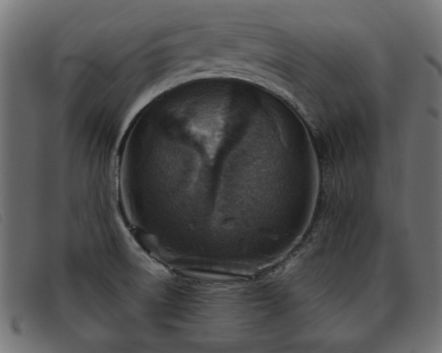 X0000093441522200710121322