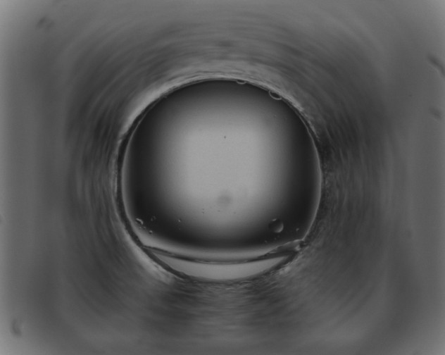 X0000093441523200710121322