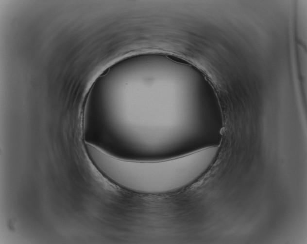 X0000093441524200710121322