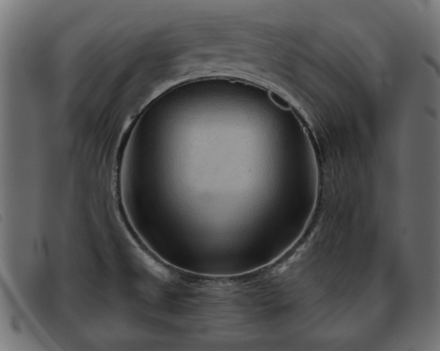 X0000093441525200710121322