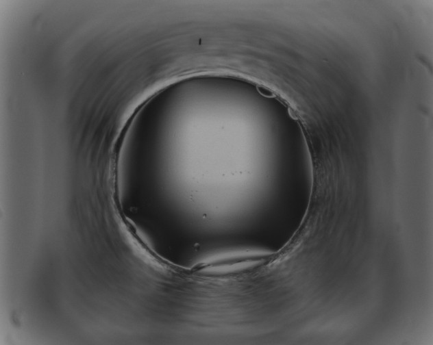 X0000093441526200710121322
