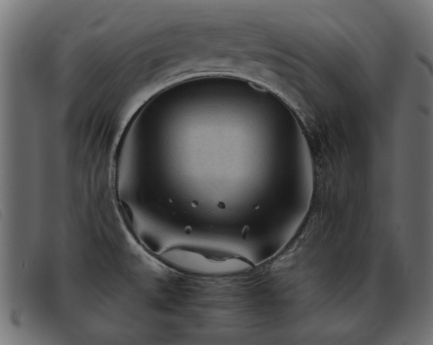X0000093441527200710121322