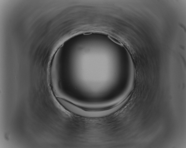 X0000093441528200710121322