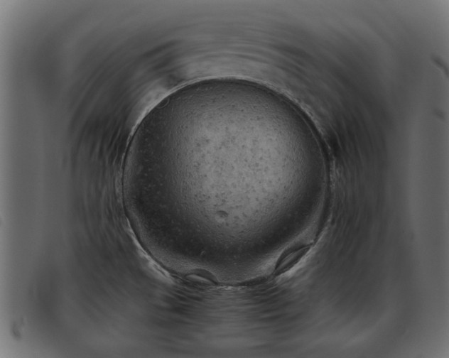 X0000093441529200710121322