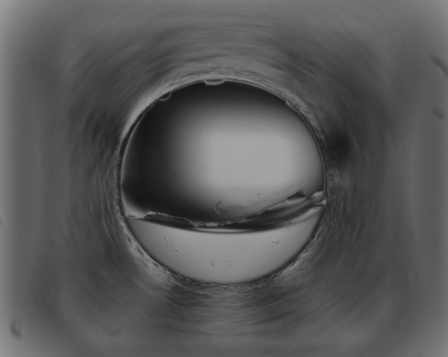X0000093441530200710121322