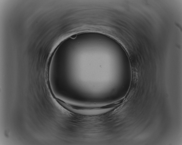 X0000093441531200710121322