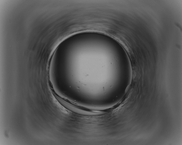 X0000093441532200710121322