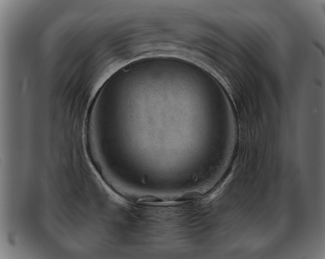 X0000093441533200710121322