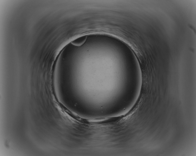 X0000093441534200710121322