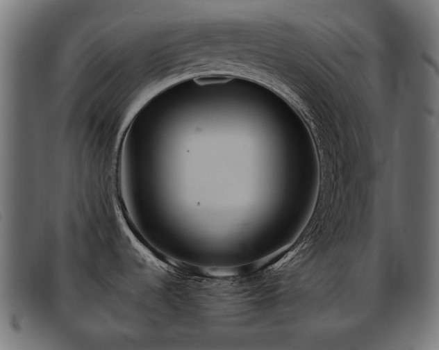 X0000093441536200710121322