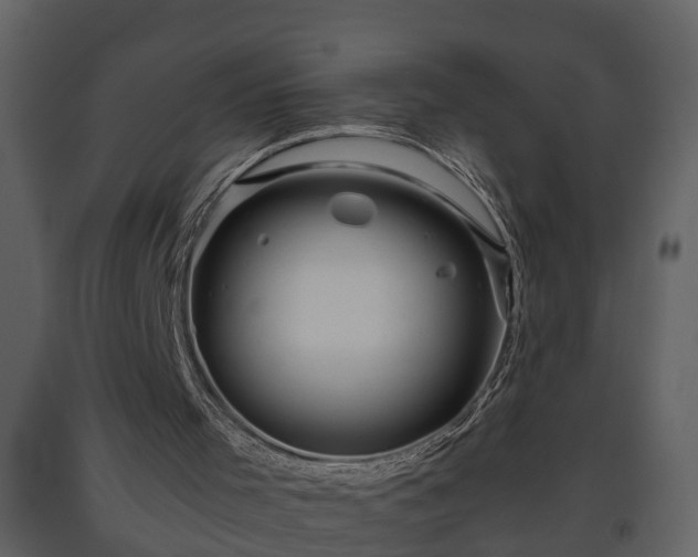 X0000093440001200710191051