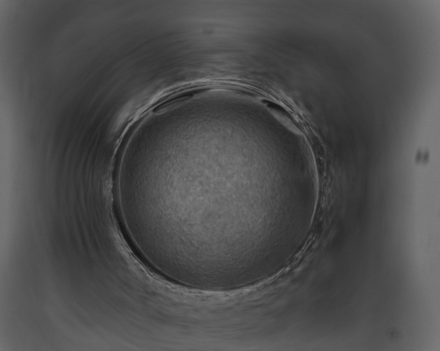 X0000093440002200710191051