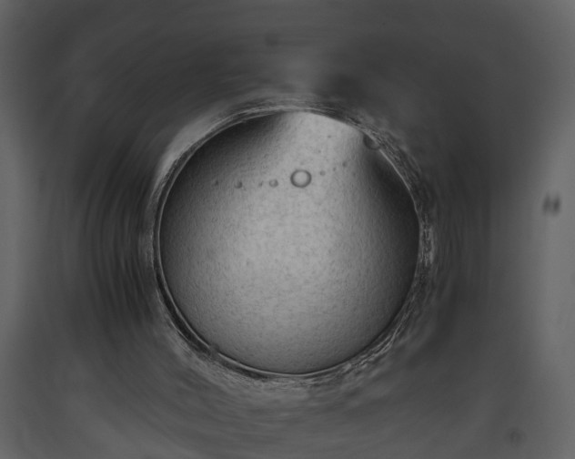 X0000093440004200710191051