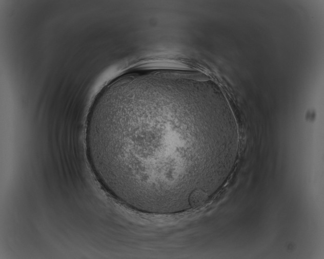 X0000093440006200710191051