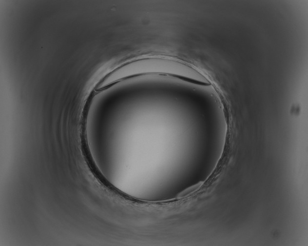 X0000093440007200710191051