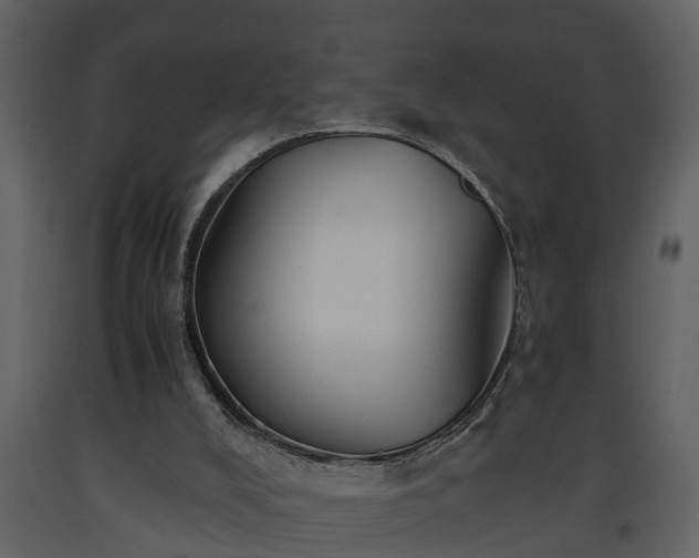 X0000093440008200710191051