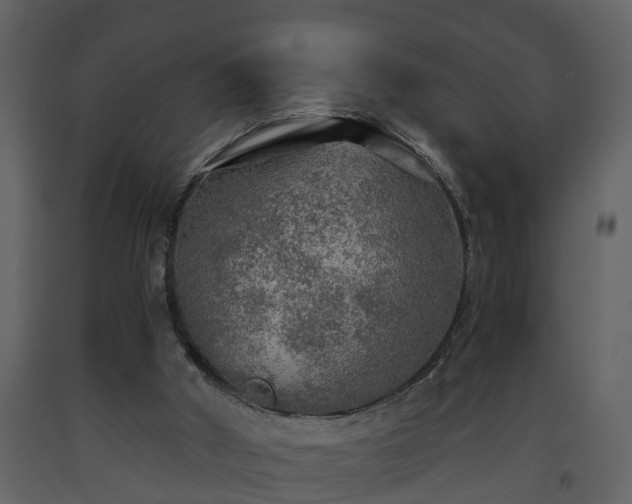 X0000093440010200710191051