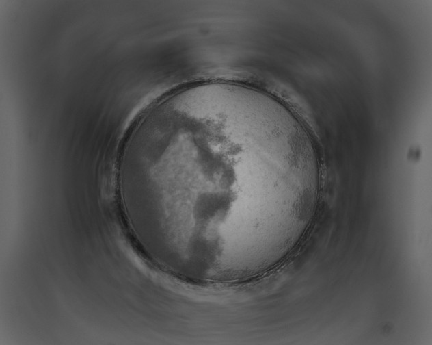 X0000093440012200710191051