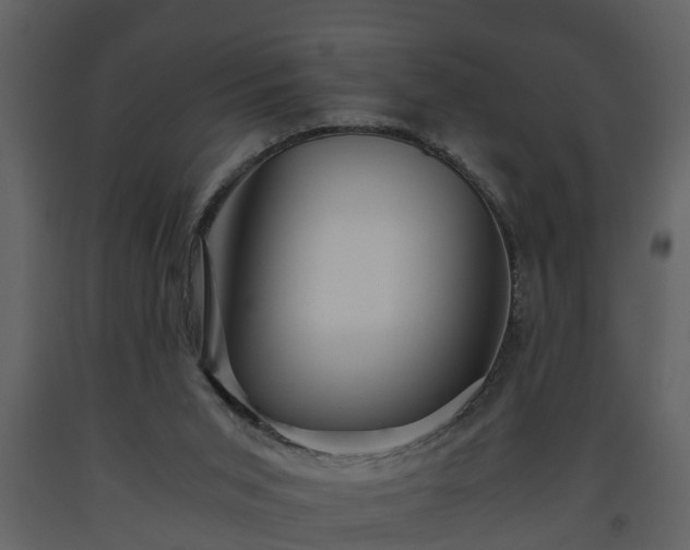 X0000093440015200710191051