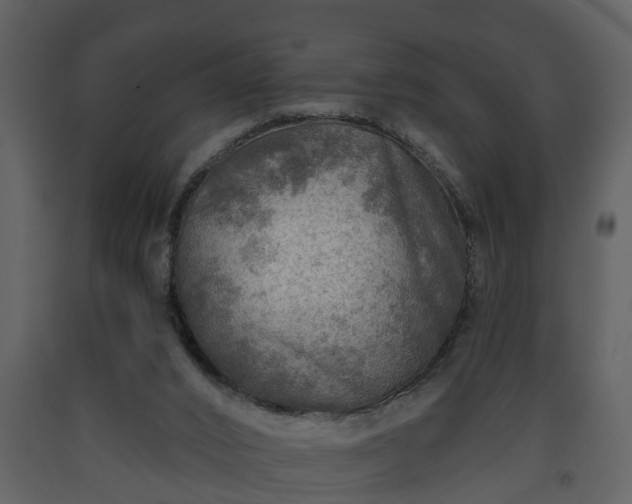 X0000093440016200710191051