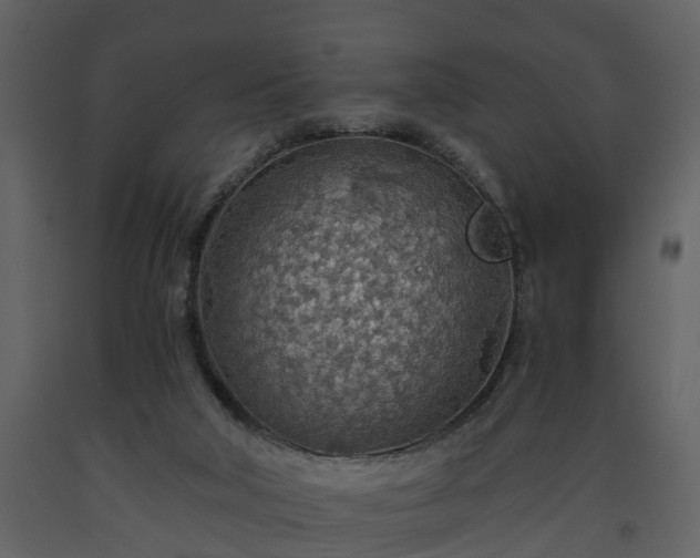 X0000093440018200710191051