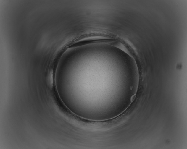 X0000093440020200710191051