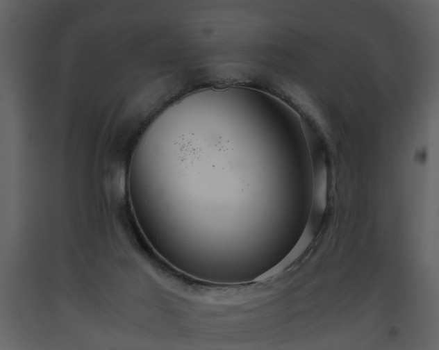X0000093440021200710191051