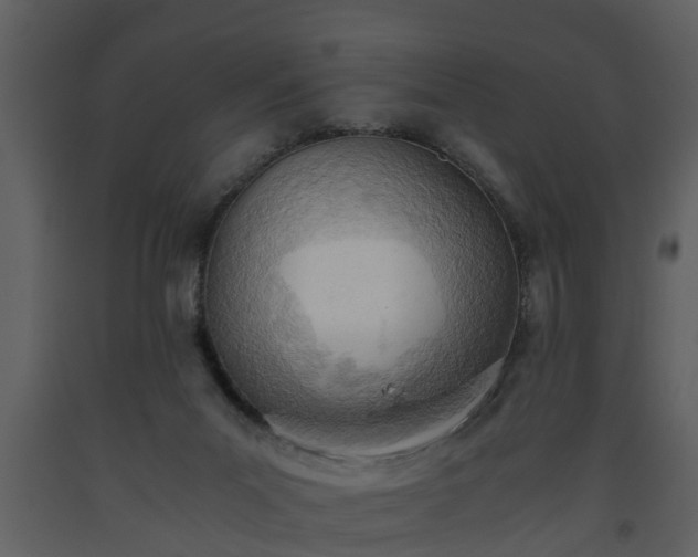 X0000093440023200710191051