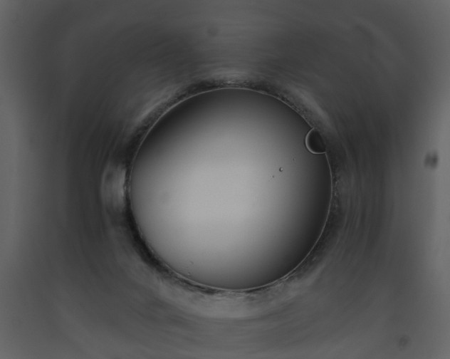 X0000093440024200710191051