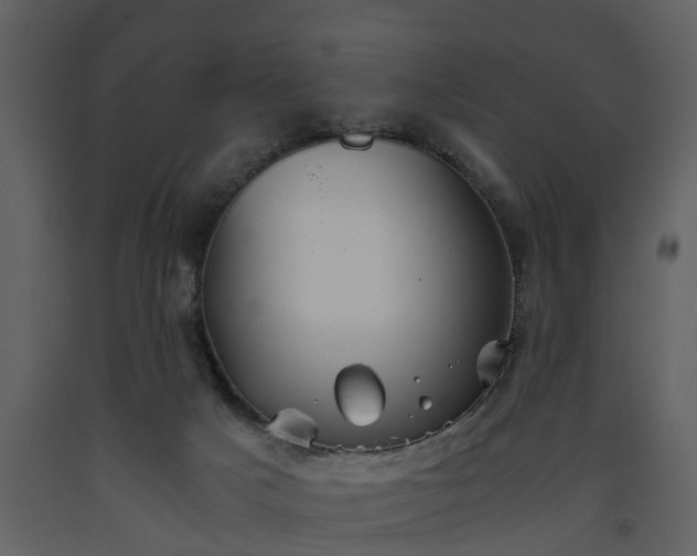 X0000093440025200710191051