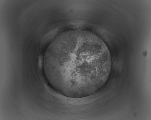 X0000093440026200710191051