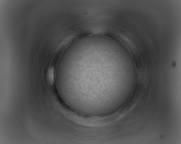X0000093440028200710191051