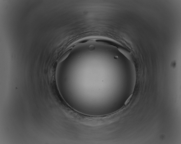 X0000093440029200710191051
