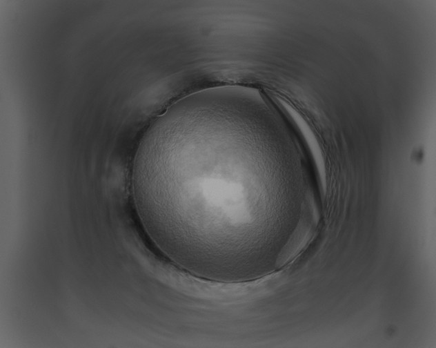 X0000093440031200710191051