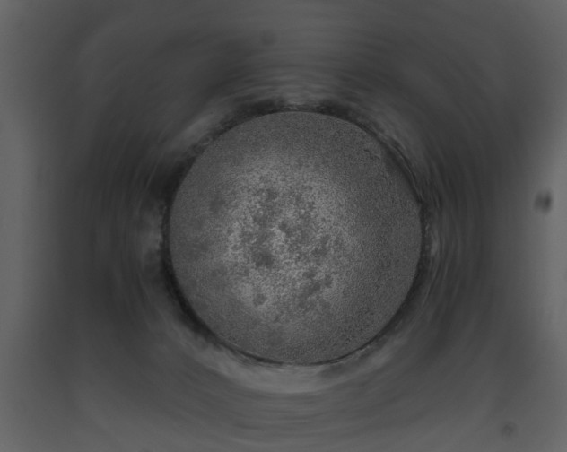 X0000093440032200710191050