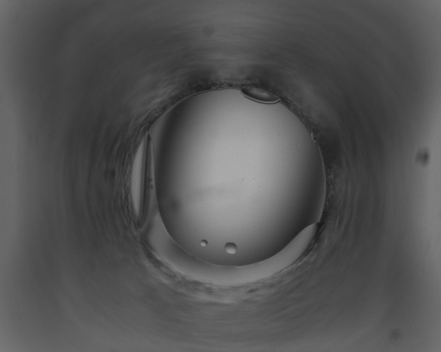 X0000093440033200710191050
