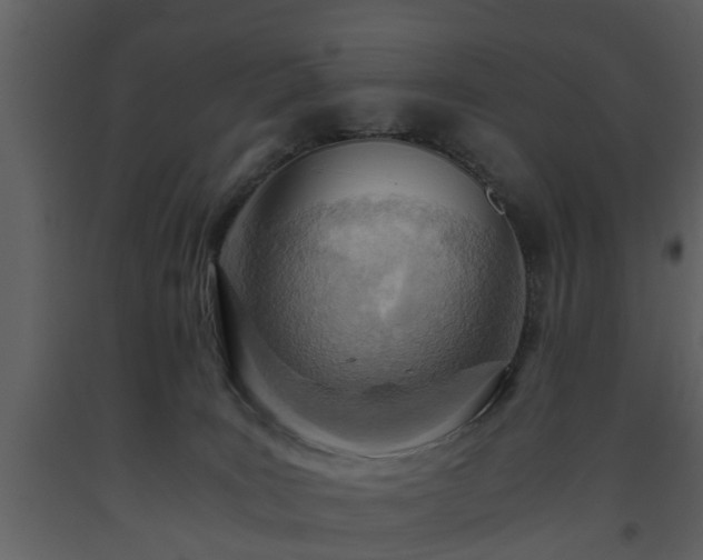 X0000093440035200710191050