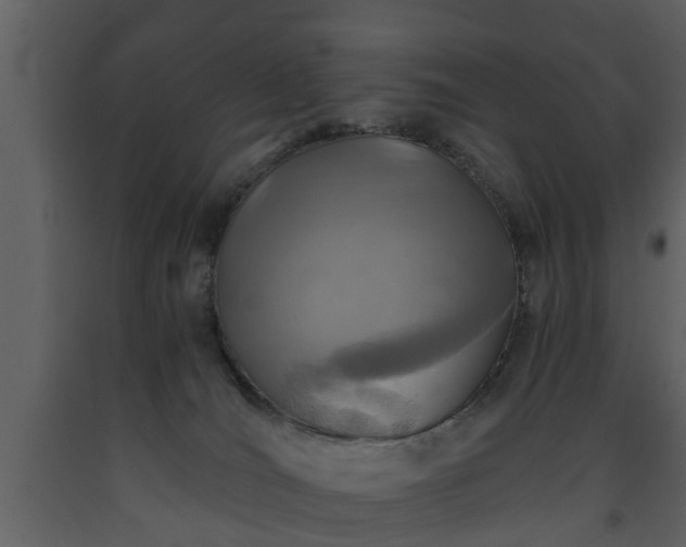 X0000093440036200710191050