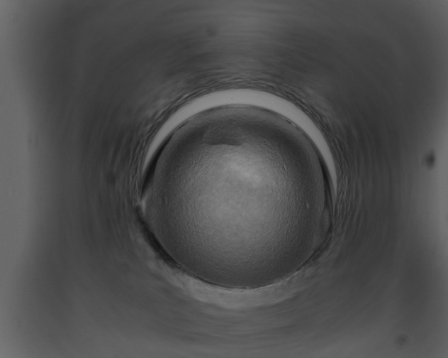 X0000093440039200710191050