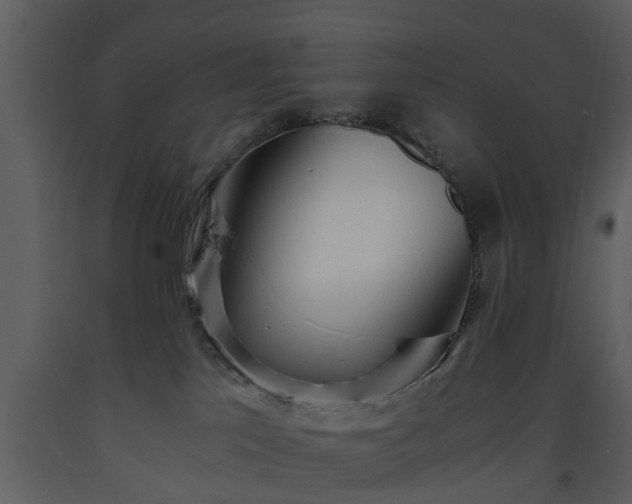 X0000093440041200710191050