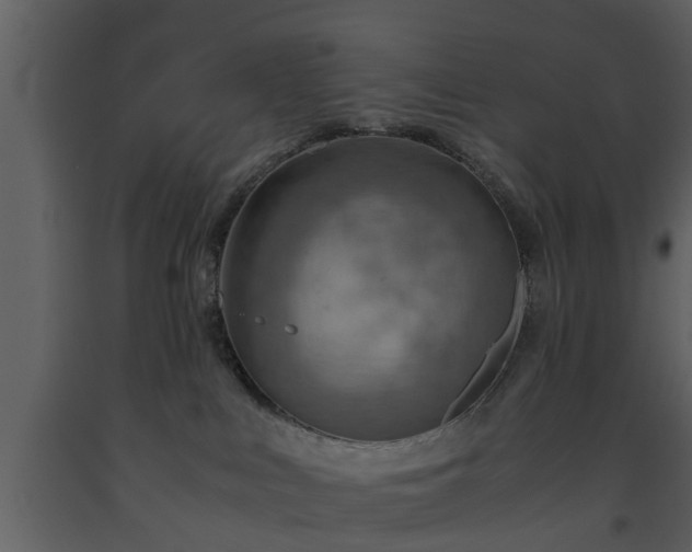 X0000093440043200710191050