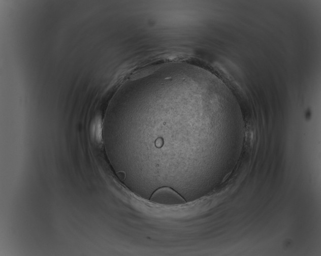 X0000093440046200710191050