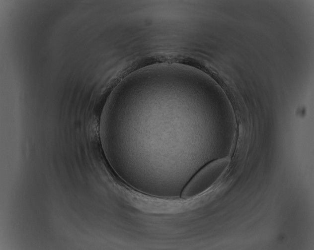 X0000093440048200710191050